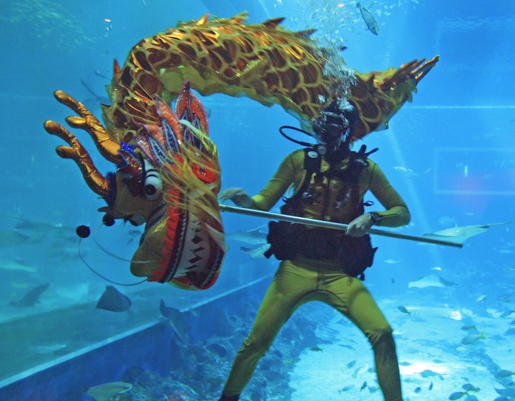 sea aquarium underwater dragon dance