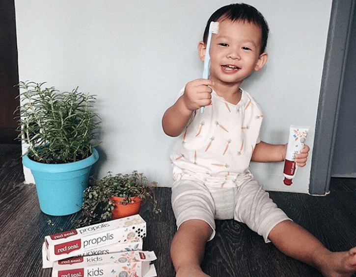 red seal natural toothpaste kids