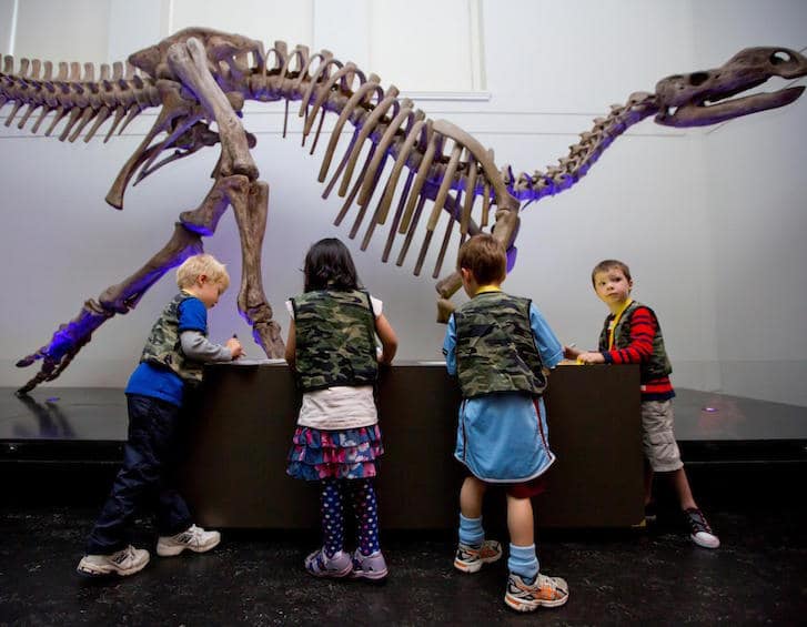kids at the australian museum in sydney