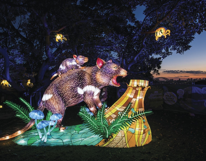 Tasmanian Devil light installation at vivid sydney festival