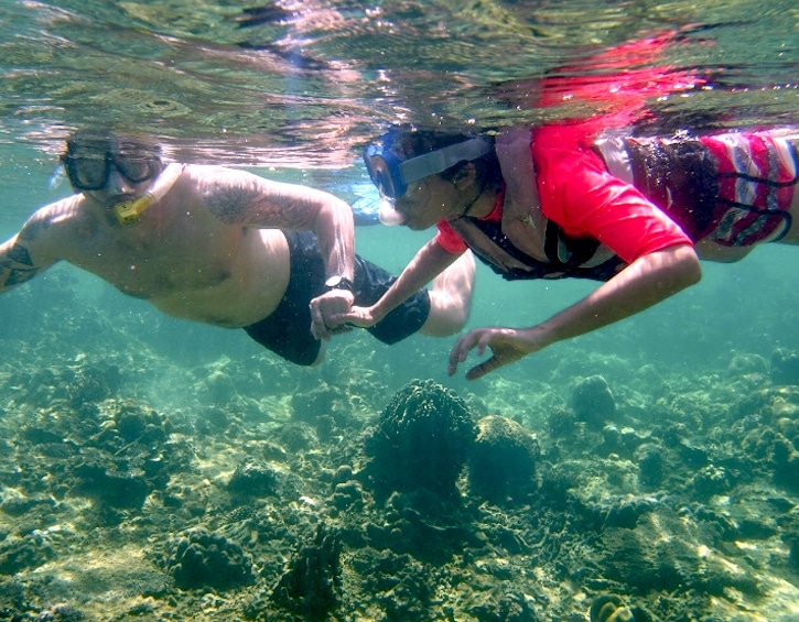 gaya island snorkelling