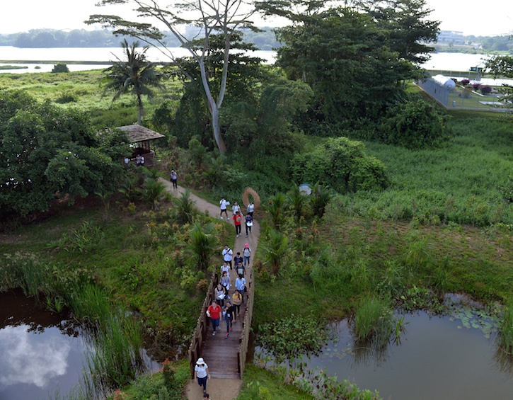 kranji marshes kids