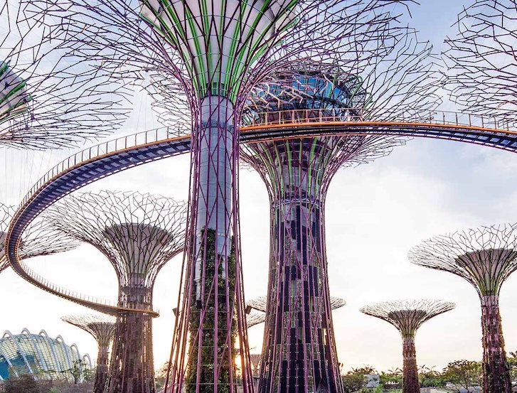  gardens by the bay free light show is a fun kids activity in singapore