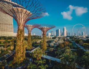 singapore hong kong travel Gardens by the Bay Singapore