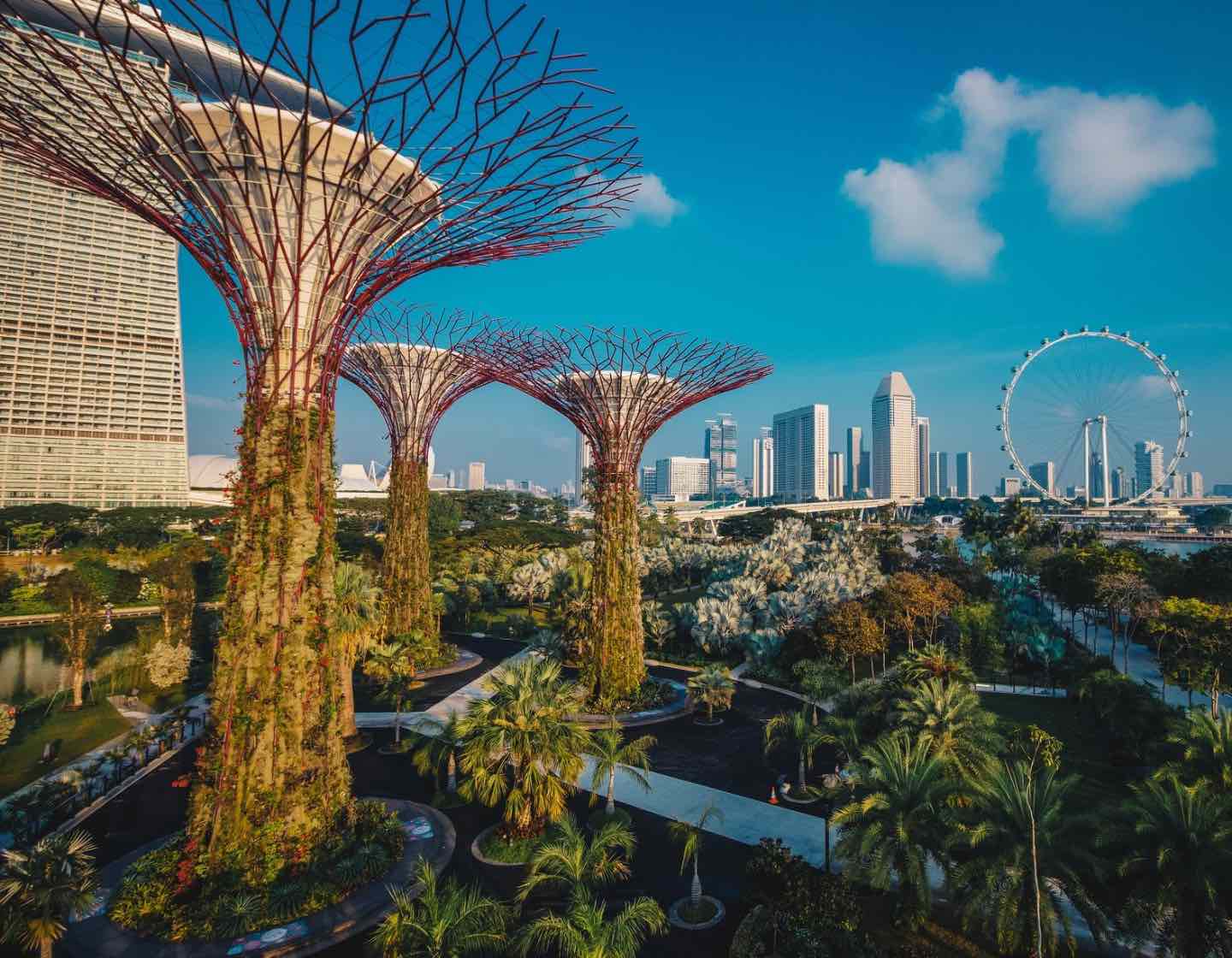 singapore hong kong travel Gardens by the Bay Singapore