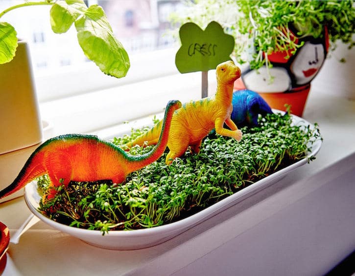 kids indoor garden - Elegant Indoor gardening ideas for kids