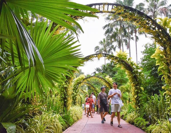 weekend in singapore botanic gardens