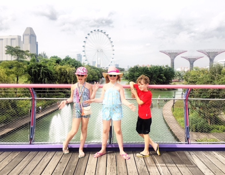 singapore-skyline-gardens-by-the-bay