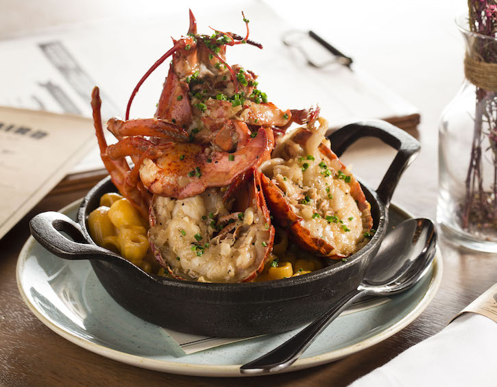 lobster mac & cheese headlines the new brunch menu at the bird souther table & bar