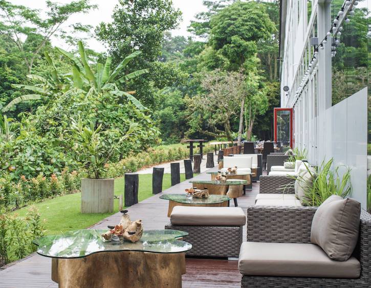 Seafood platters overlooking the lush Dempsey jungle