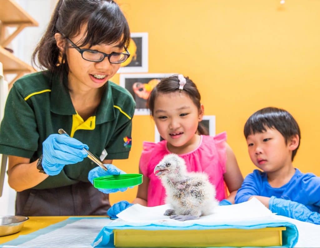 september school holidays jurong bird park