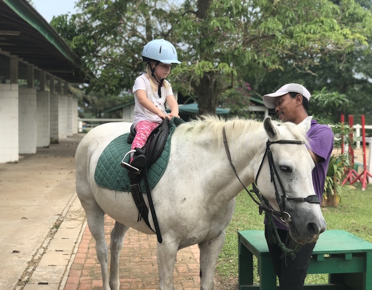 ponies and horses at Riders Lodge in Malaysia