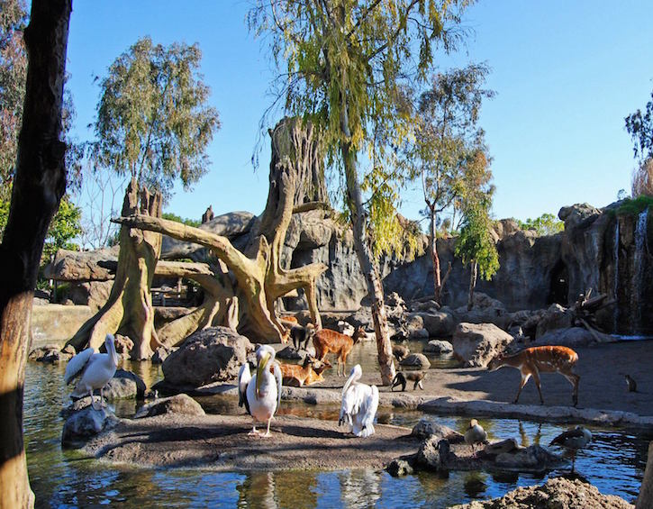 Jardim Zoológico de Lisboa portugal zoo