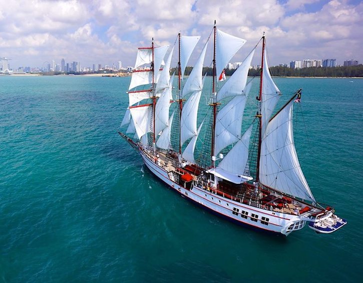 Halloween Cruise Aboard Royal Albatross