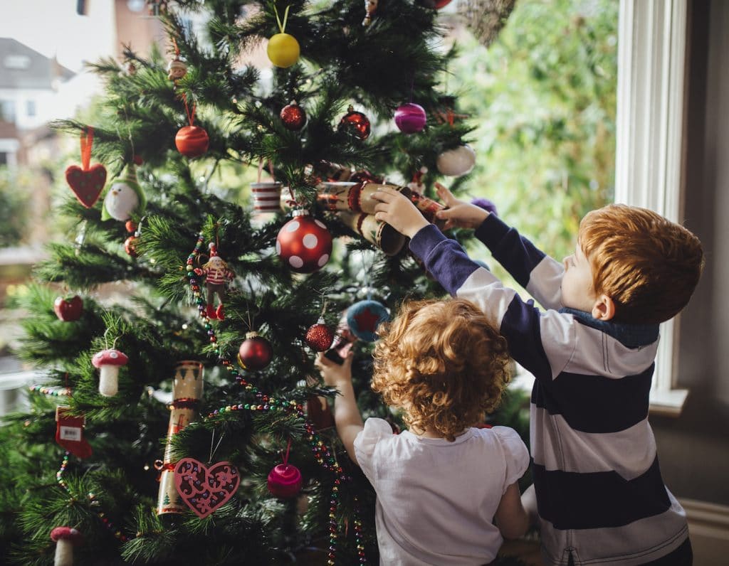 Where To Buy A Christmas Tree In Singapore Fresh Christmas