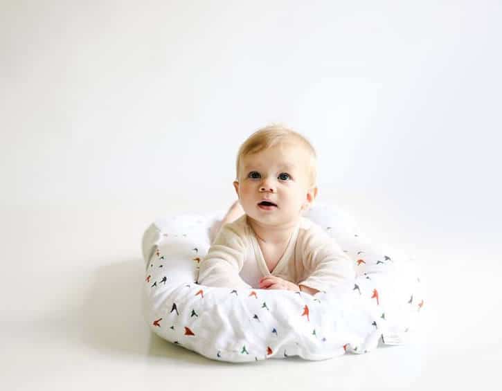 the Snuggle Me Lounger is a popular baby product