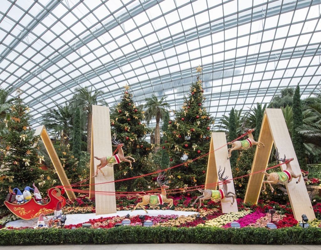 christmas lights decorations at gardens by the bay pointsettia wishes