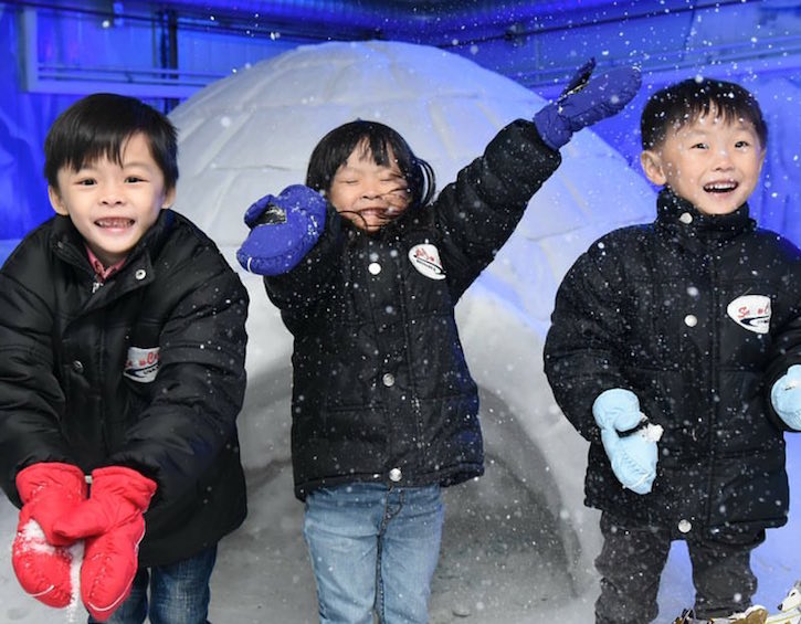 snow city science centre singapore