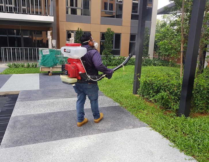 spring cleaning services singapore pest off