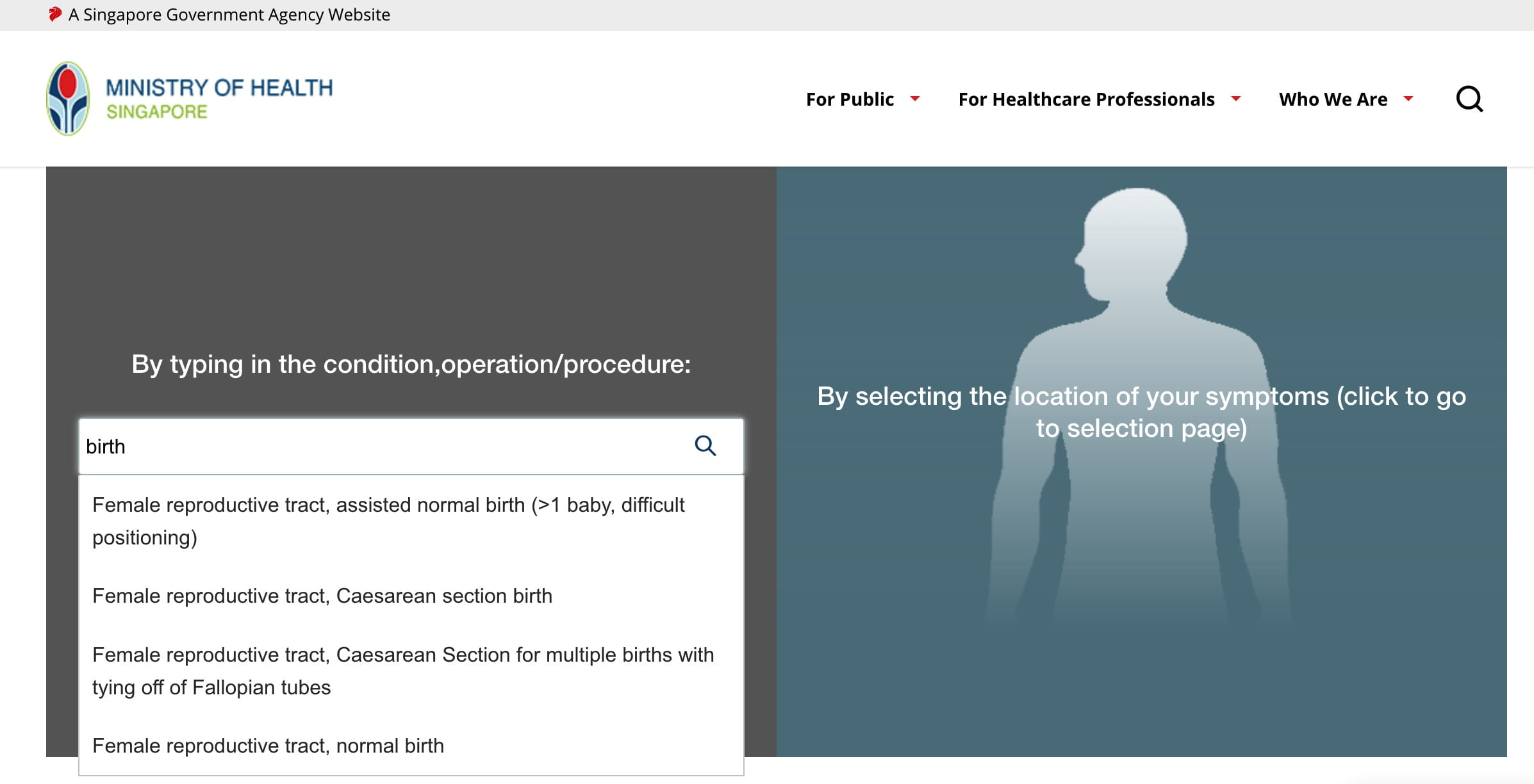 Giving Birth in Singapore - MOH Online Bill Estimator
