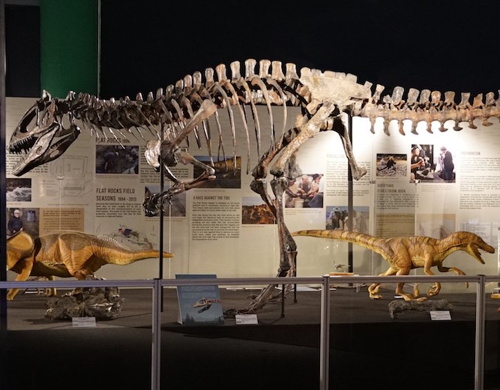 dino quest science centre singapore museum exhibitions
