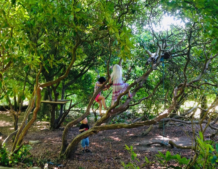 even more outdoor play in denmark schools