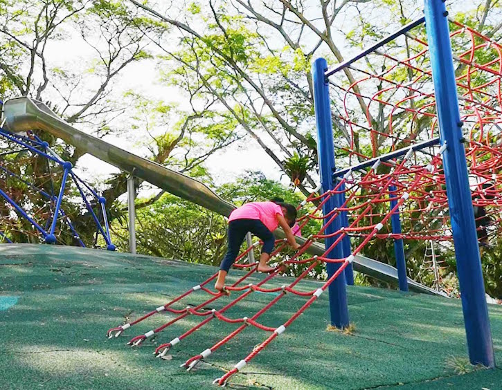 things to do with kids in singapore climb at pasir ris park  is a fun kids activity in singapore