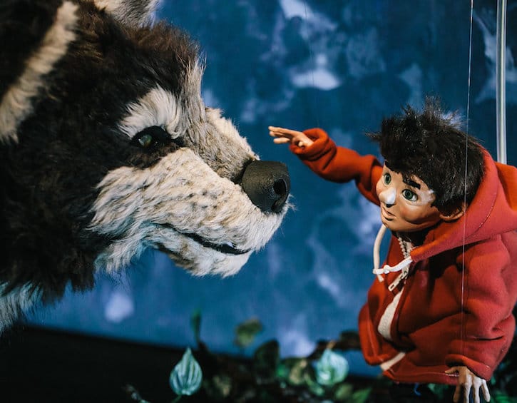 peter and the wolf SIFA 2019