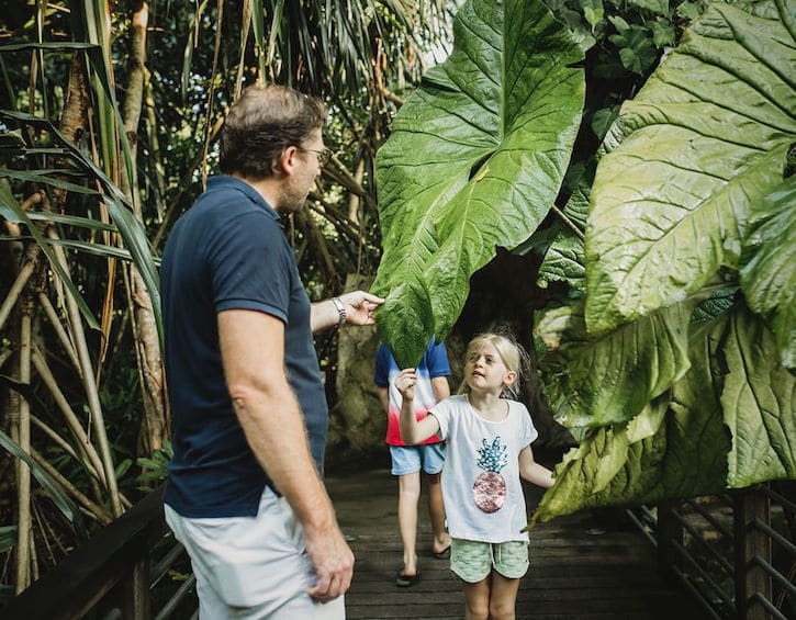 best parks for kids singapore botanic gardens