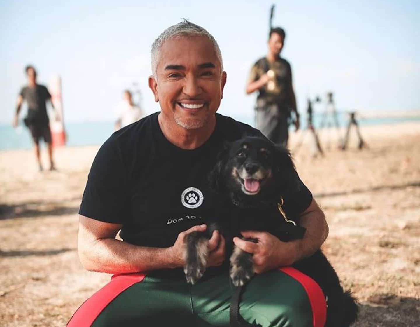 SIIILON Dear DOG trainer （SIIILON Dear DOG trainer | trava