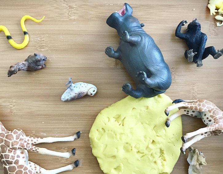 kids-educational-toys-Animal-Figurines