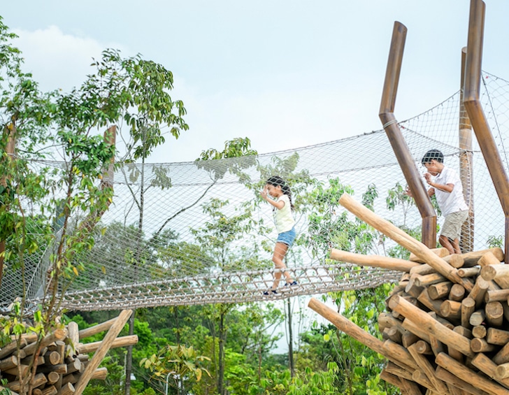 clusia cove Jurong Lake Gardens