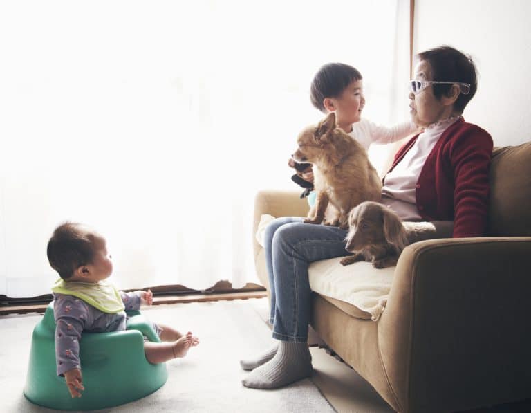 courts has the next generation in air purifiers to improve indoor air quality for babies, children and pets