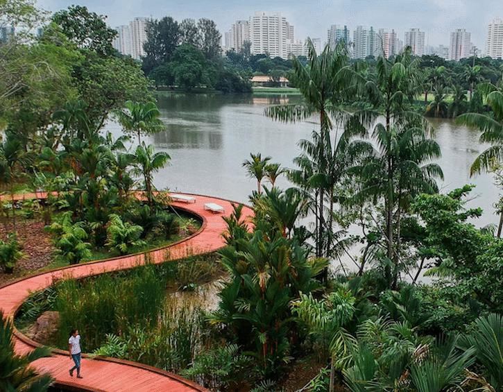 Jurong park Lakeside Garden