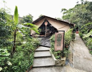 tiong-bahru-bakery-safari