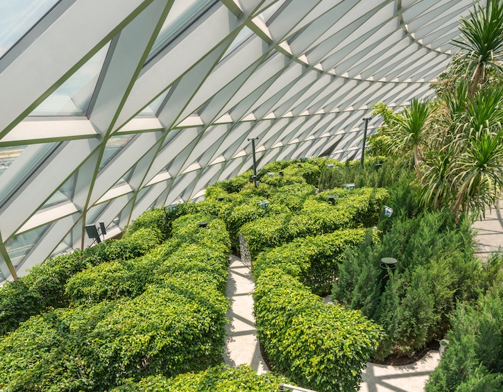 Keep your eye peeled for the kids at the indoor hedge and mirror maze Jewel Canopy Park