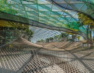 Sky-nets-jewel-canopy-park