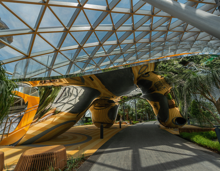 Discovery Slides for kids await at Canopy Park