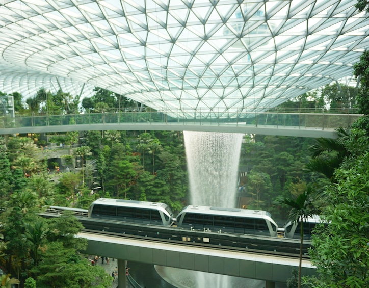 the glass-bottomed canopy bridge at canopy park jewel changi airport