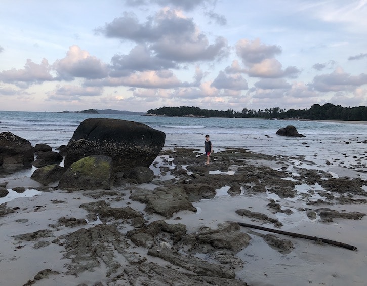 Rockpools at Angsana Bintan