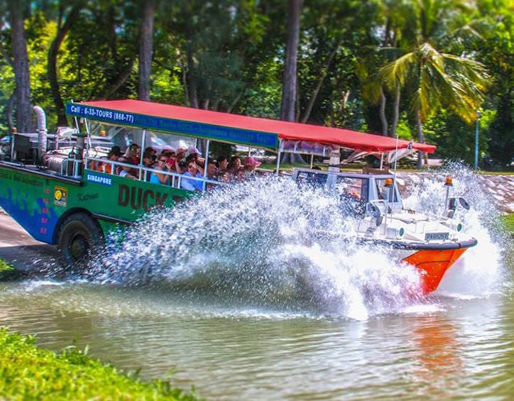 things to do with kids in singapore duck tour singapore family activity