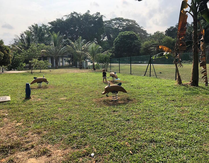 green space grass dempsey playground