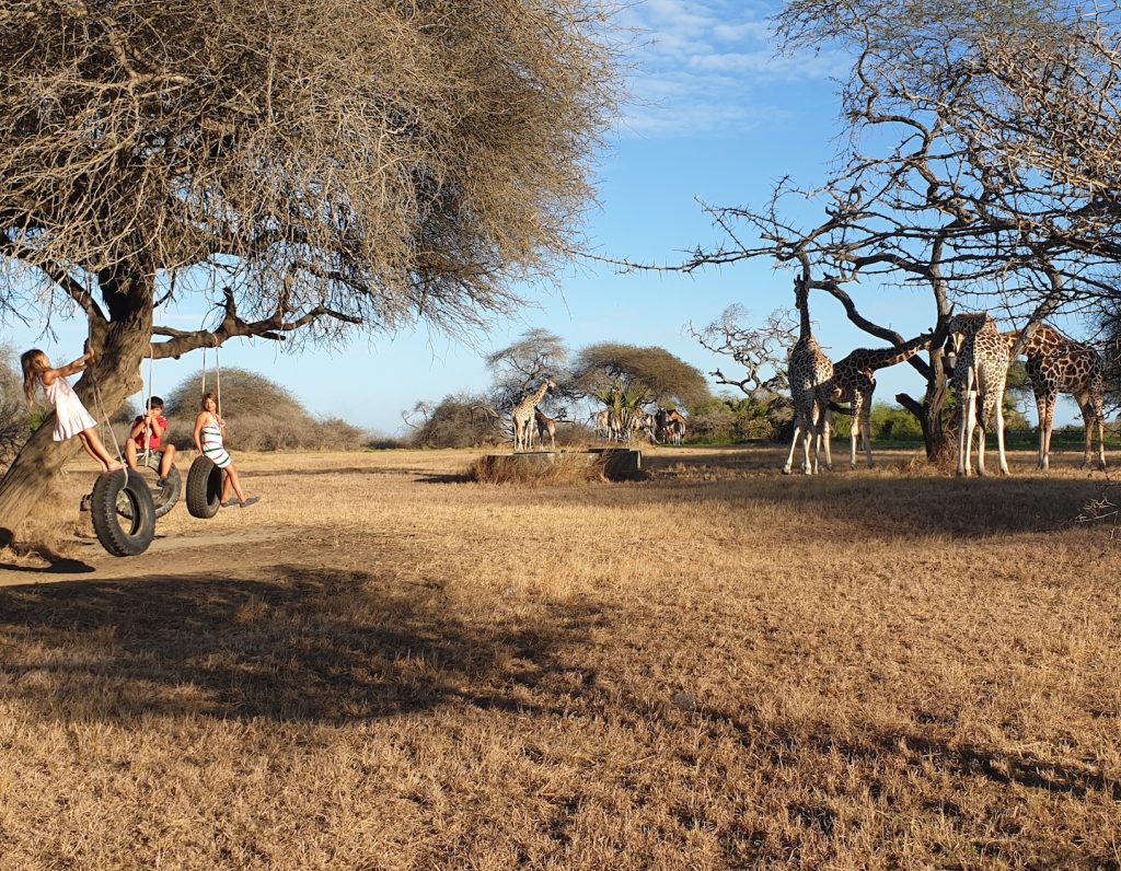 the family of overseas singaporean demelza on safari in africa