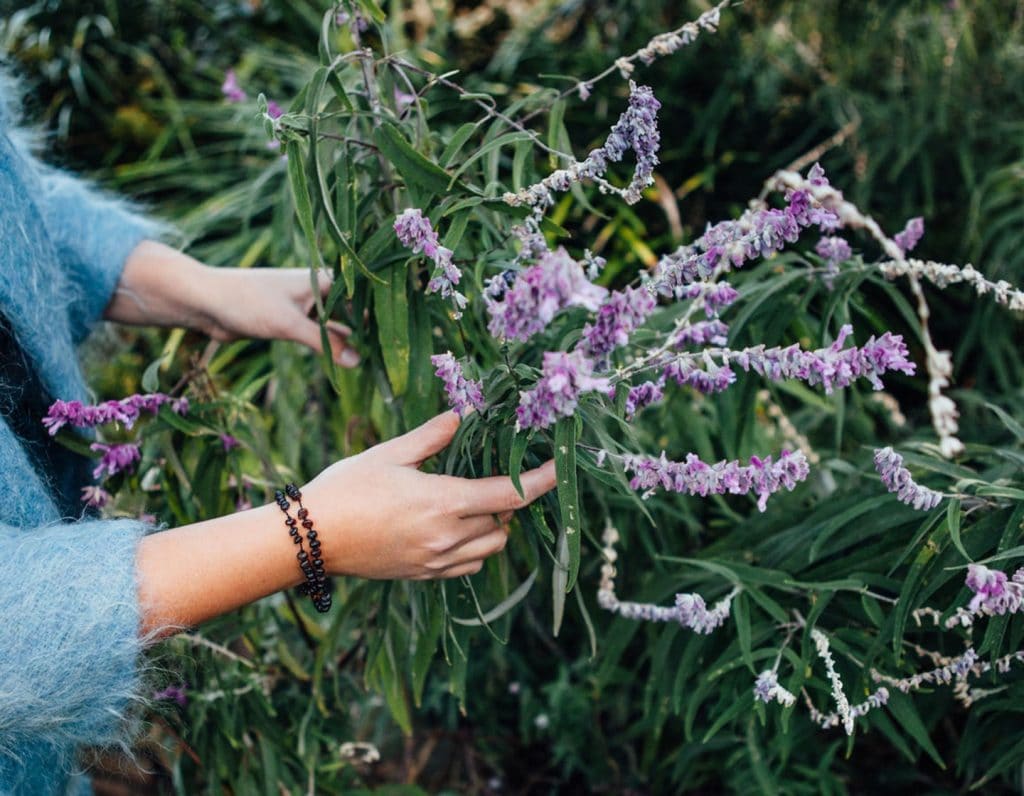 seventh generation plant-based ingredients lavender