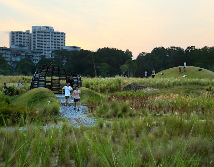 bazaar jurong lake gardens nparks