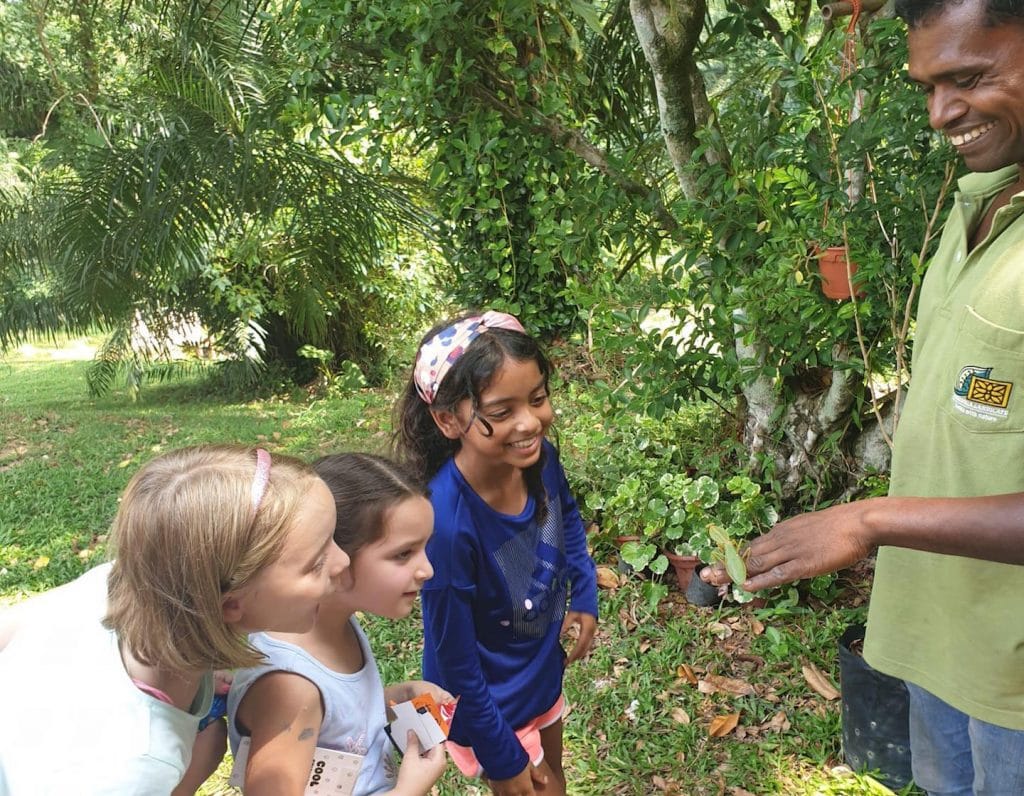 holiday study camp kids learning about nature at dempsey explorer camp holiday camp