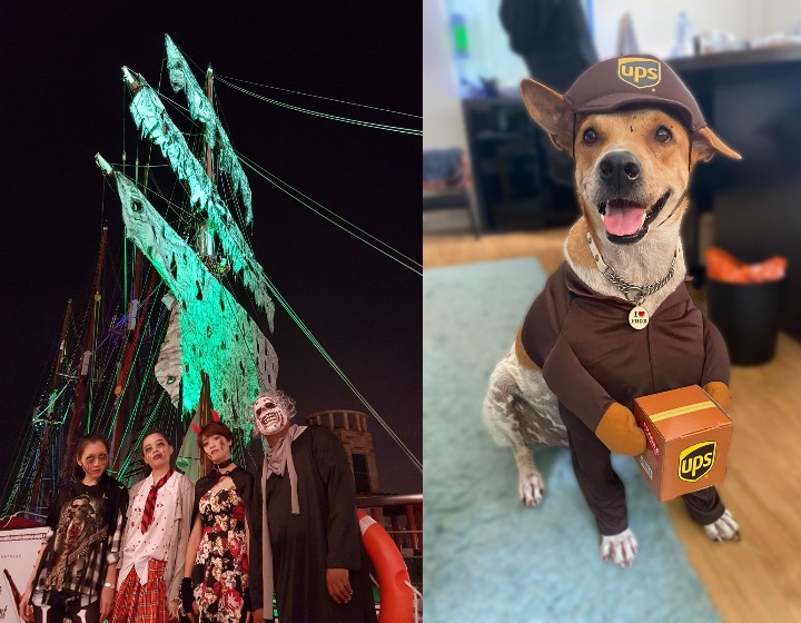 Halloween Events Singapore - Royal Albatross