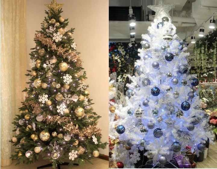 where to buy christmas trees in singapore Vanda Win