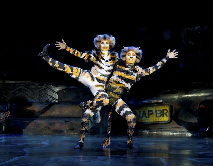 cats the musical singapore