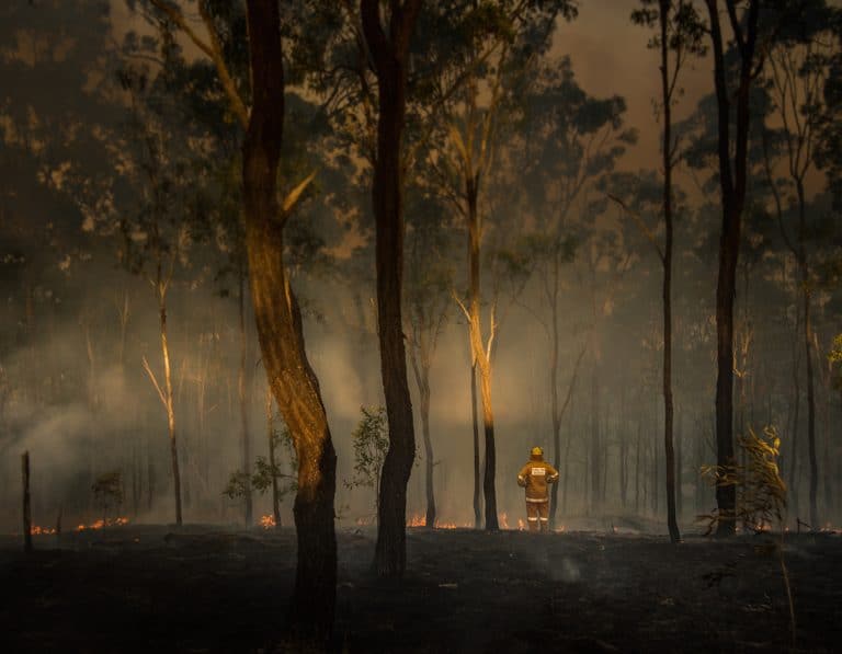 how to donate to australia bushfire victims